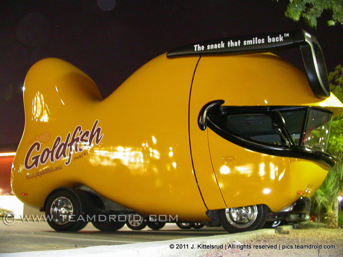 goldfish_car_001.jpg