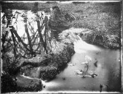 DIY Film Emulsion