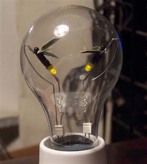 Light Bug