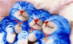 Doraemon x Kitty