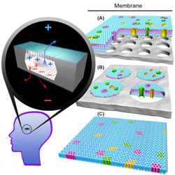 Micro Eye Battery