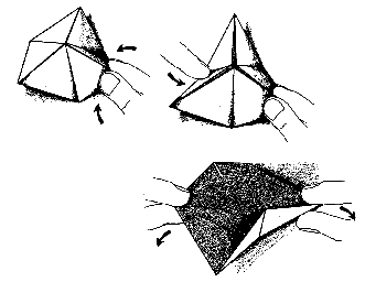 Hexaflexagons