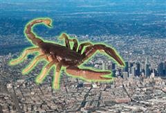 Radioactive scorpion