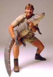 Steve Irwin