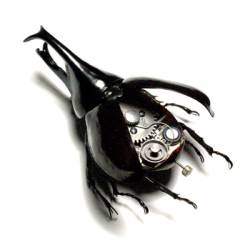 Mechanical Insects