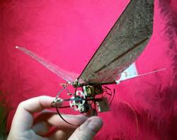 Ornithopter